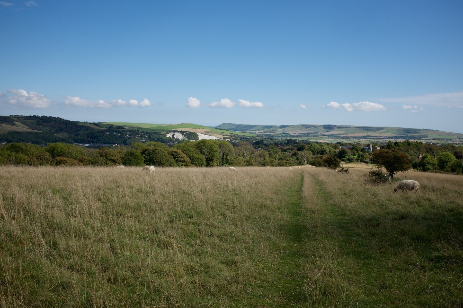 A grassy slope with a view back down the hill towards the town of Lewes. 