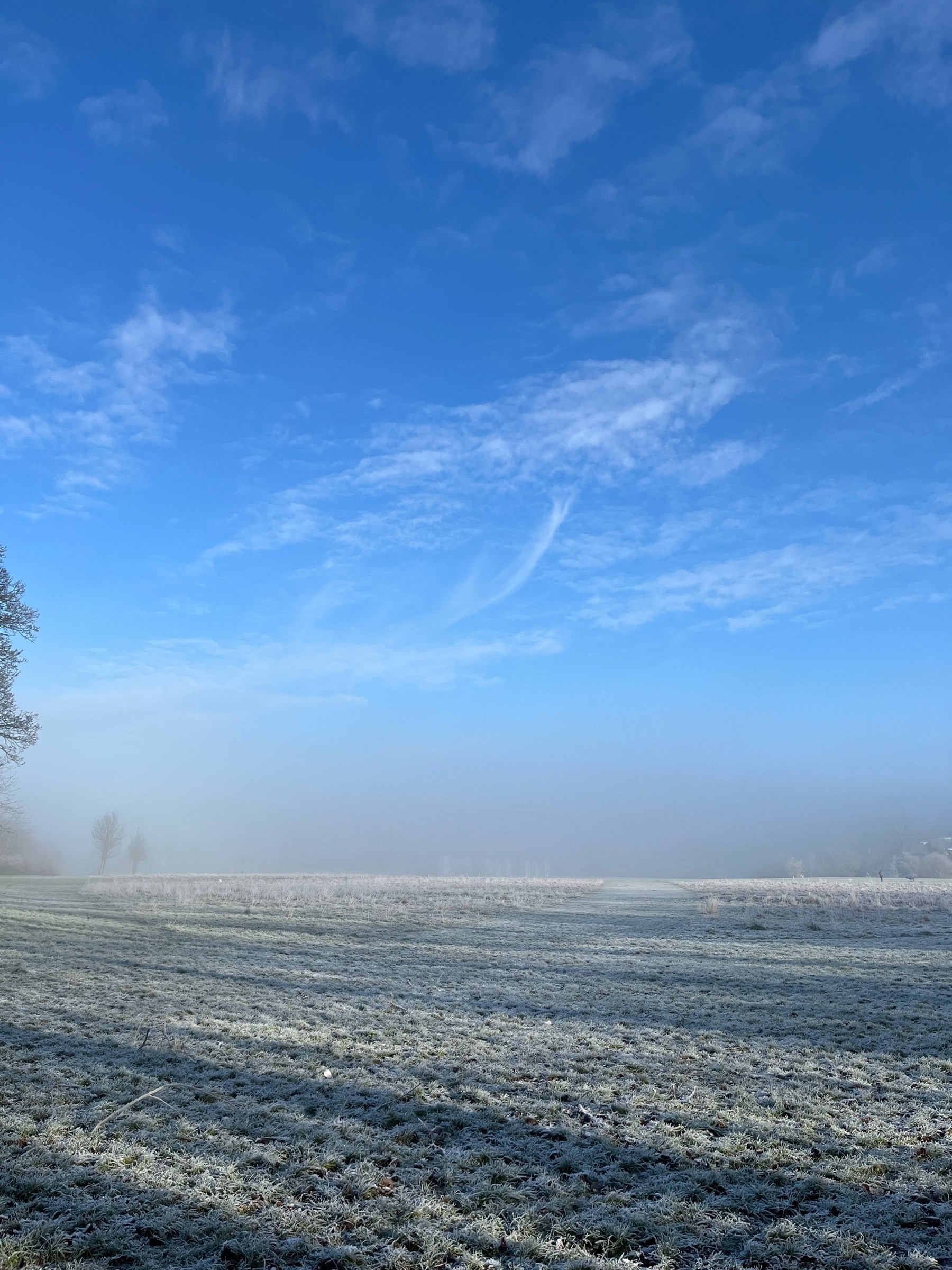 View across a park with the low sun casting diagonal shadows across the frosty grass. The sky is a deep blue. 